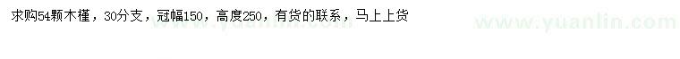 求購高2.5米木槿