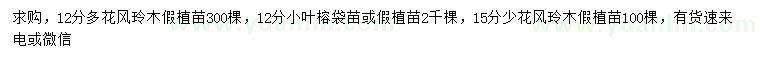 求購多花風(fēng)鈴木、小葉榕、少花風(fēng)鈴木