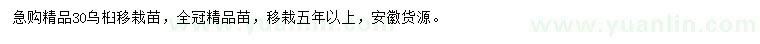 求購30公分烏桕