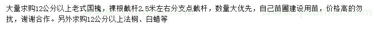求購老式國槐、法桐、白蠟
