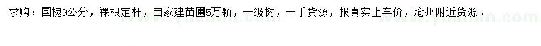 求購9公分國槐