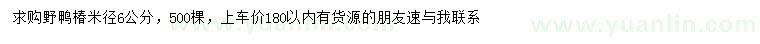 求購米徑6公分野鴨椿