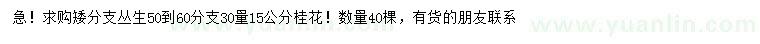 求購(gòu)30量15公分桂花