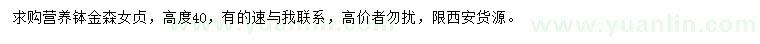 求購高40公分金森女貞