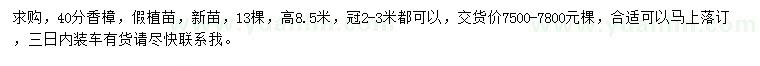 求購40公分香樟