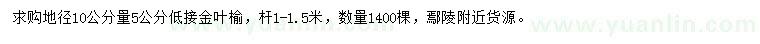 求購10量5公分金葉榆