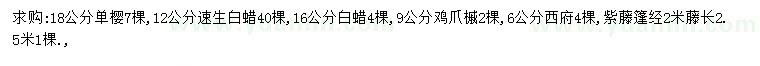 求購單櫻、速生白蠟、白蠟等