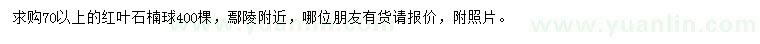 求購(gòu)70以上紅葉石楠球
