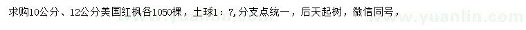 求購10、12公分美國紅楓