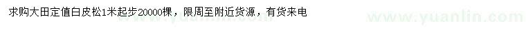 求購1米以上白皮松