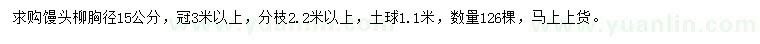 求購胸徑15公分饅頭柳
