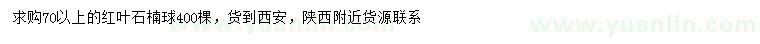 求購70公分以上紅葉石楠球