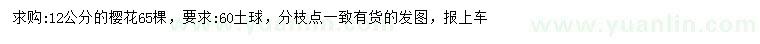 求購12公分櫻花