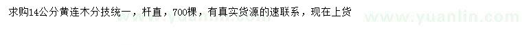 求購14公分黃連木