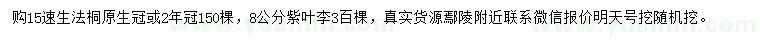 求購15公分速生法桐、8公分紫葉李
