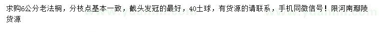 求購6公分老法桐