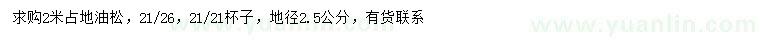 求購(gòu)2米油松
