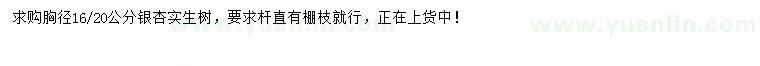 求購胸徑16-20公分銀杏