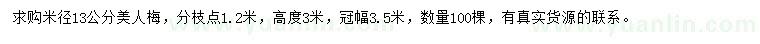 求購米徑13公分美人梅