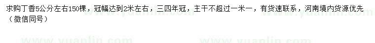 求購5公分左右丁香