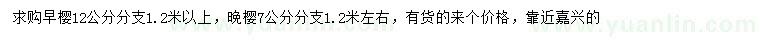 求購(gòu)12公分早櫻、7公分晚櫻