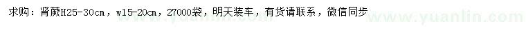 求購(gòu)高25-30公分腎蕨