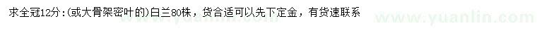 求購12公分白蘭