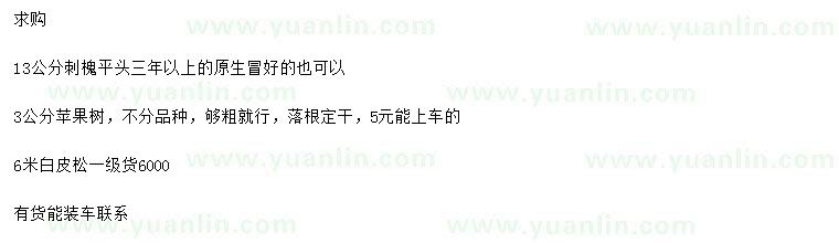 求購(gòu)刺槐、蘋(píng)果樹(shù)、白皮松