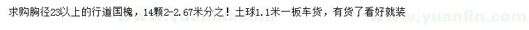 求購胸徑23公分以上國槐