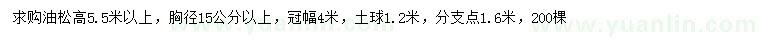 求購(gòu)高5.5米以上油松