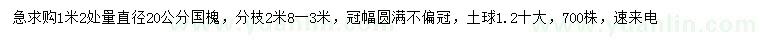 求購1.2米量20公分國槐