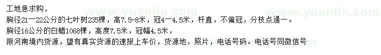 求購胸徑21-22公分七葉樹、胸徑16公分白蠟