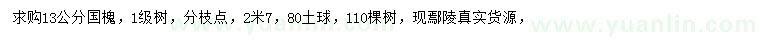 求購13公分國槐