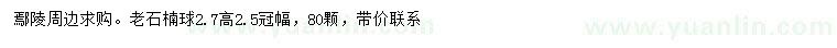 求購高2.7米老石楠球