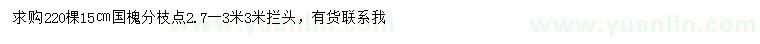 求購15公分國槐
