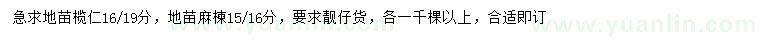 求購16-19公分欖仁，15-16公分麻楝