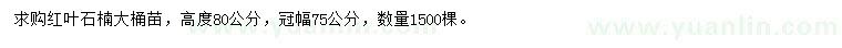 求購高80公分紅葉石楠