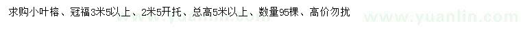 求購冠福3.5米以上小葉榕