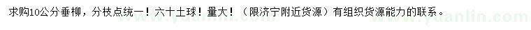 求購10公分垂柳