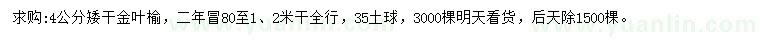 求購4公分矮干金葉榆