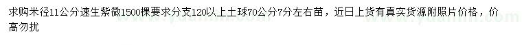 求購米徑11公分速生紫薇
