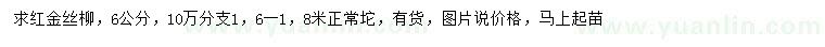 求購(gòu)6公分紅金絲柳