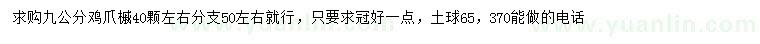 求購9公分雞爪槭