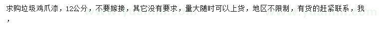 求購12公分雞爪槭