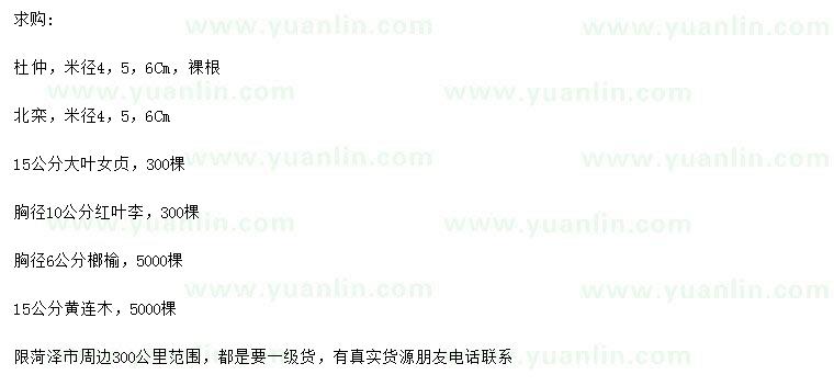 求購(gòu)杜仲、北欒、大葉女貞等