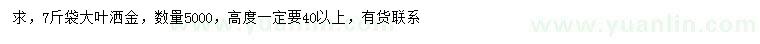 求購(gòu)高40公分以上大葉灑金柏