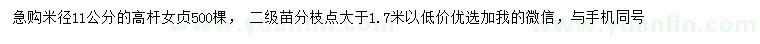 求購米徑11公分高桿女貞