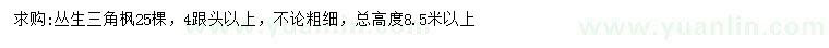 求購4分枝叢生三角楓