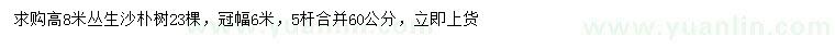 求購(gòu)高8米叢生沙樸