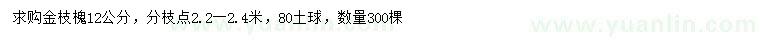 求購12公分金枝槐